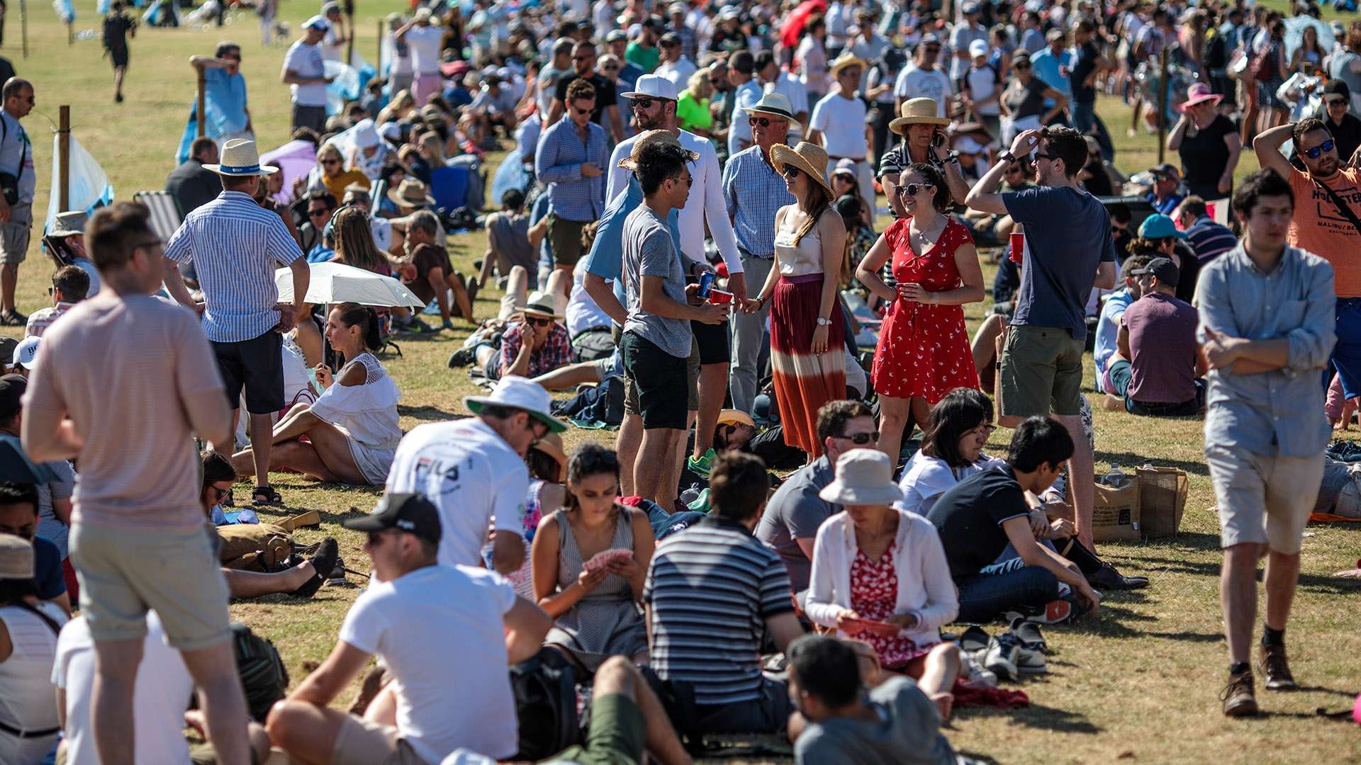 场中的高价 场中的高价